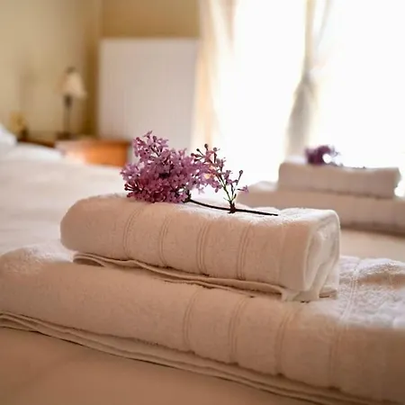 The Teacher's House Tripi