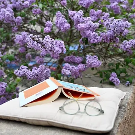 The Teacher's House Villa *