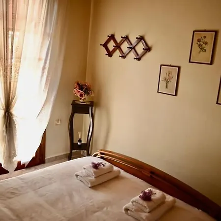 The Teacher's House * Tripi