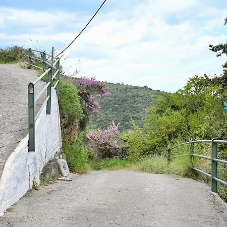 The Teacher's House *