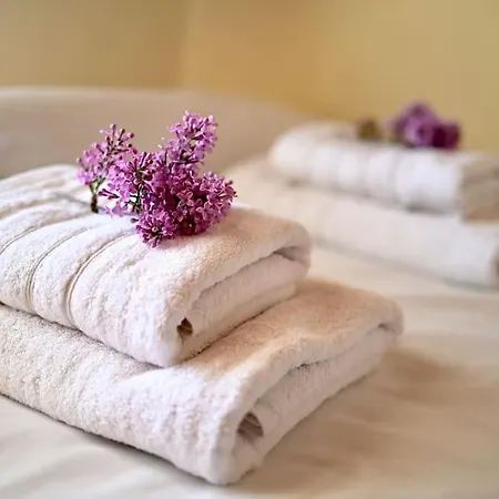 The Teacher's House * Trípi