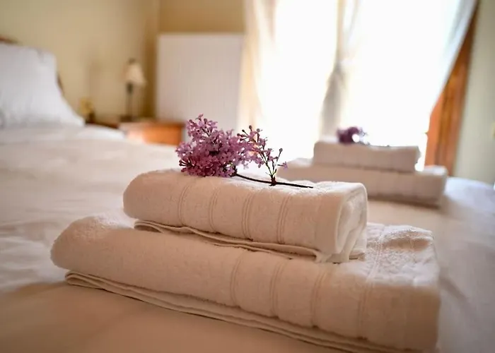 The Teacher's House Trípi