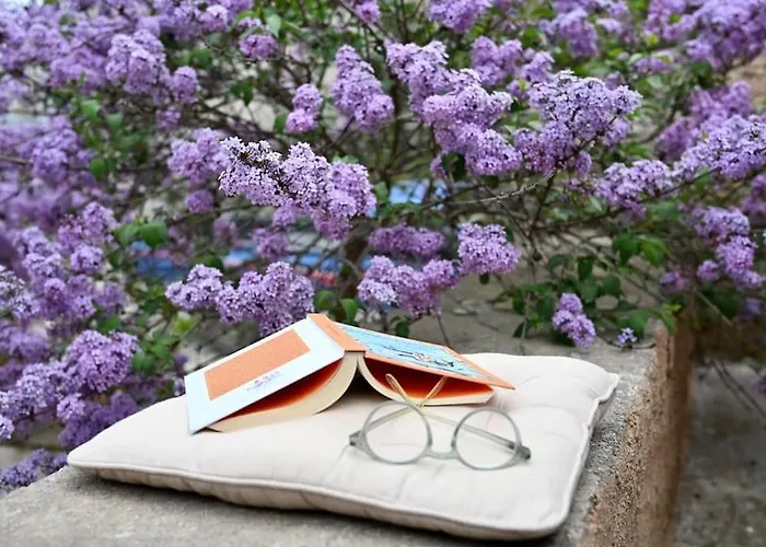 The Teacher's House فيلة *