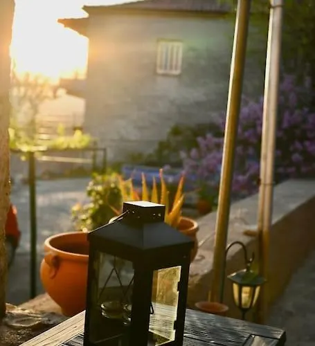 فيلة The Teacher's House Tripi