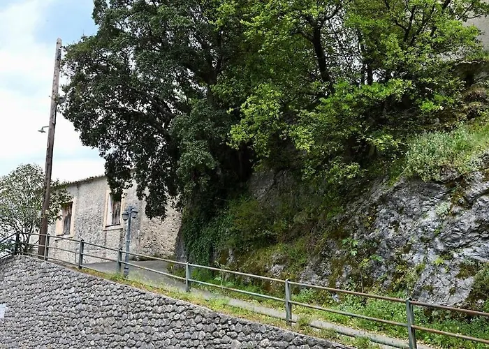 The Teacher's House * Trípi