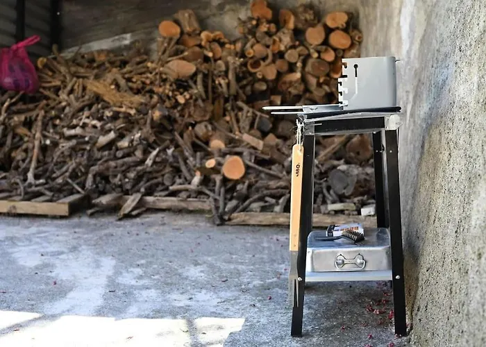 فيلة The Teacher's House