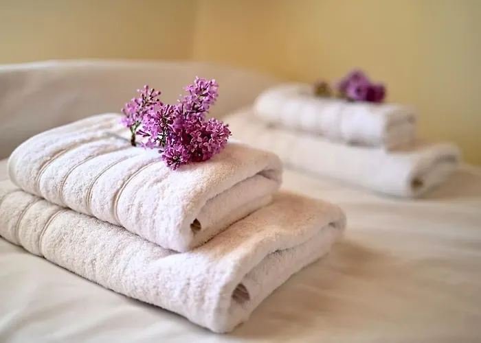 The Teacher's House * Tripi